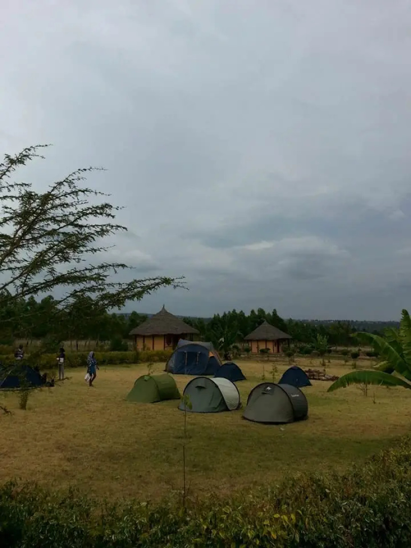 Отель The Great Circle Lodge
