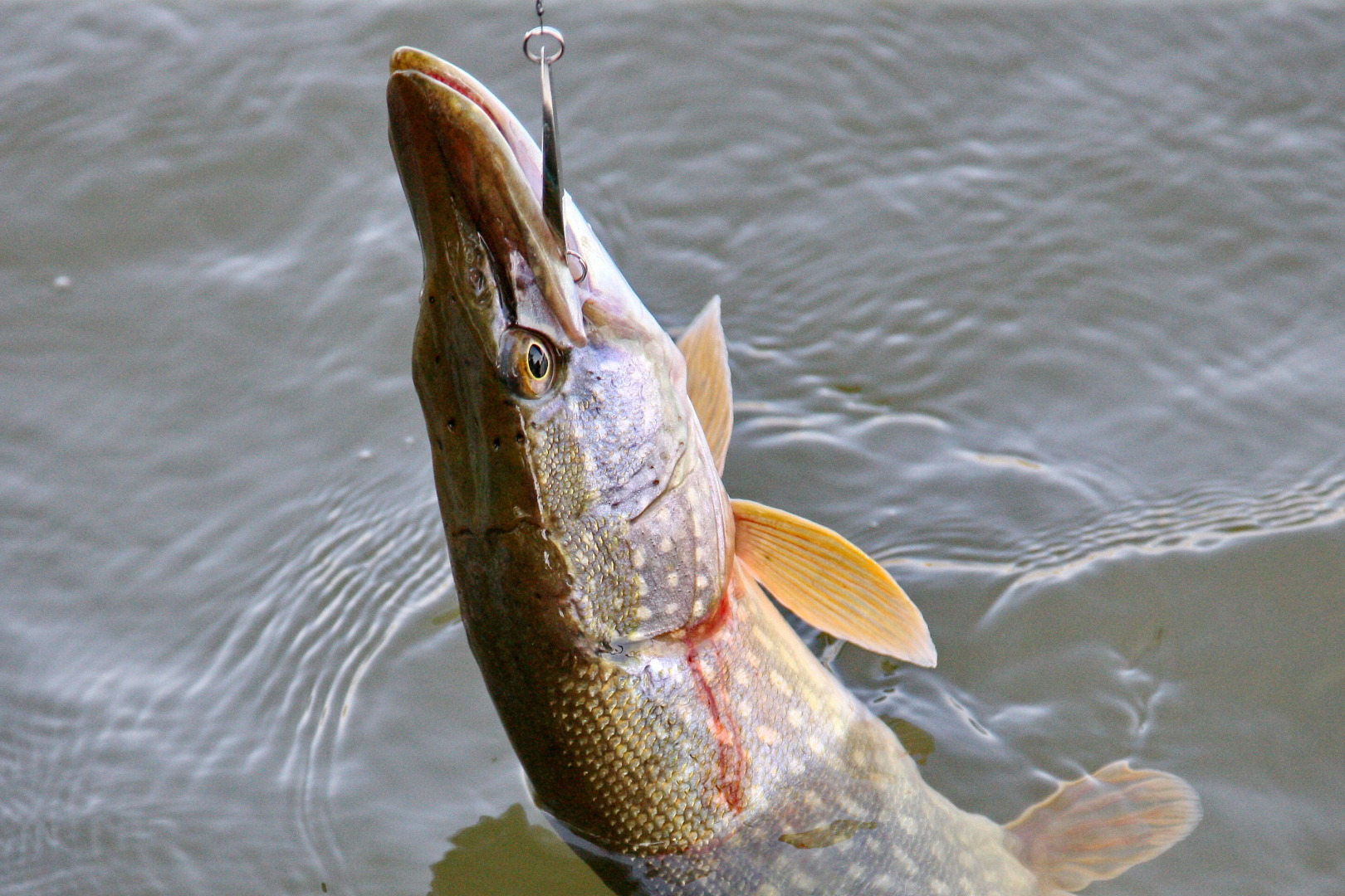 База отдыха Астраханская