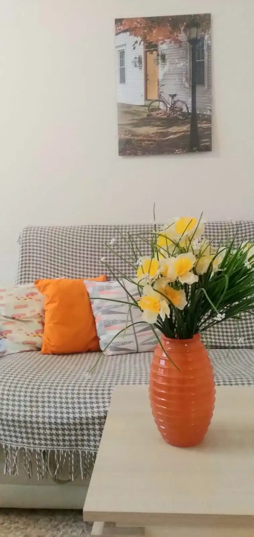 Апартаменты Олимпийский