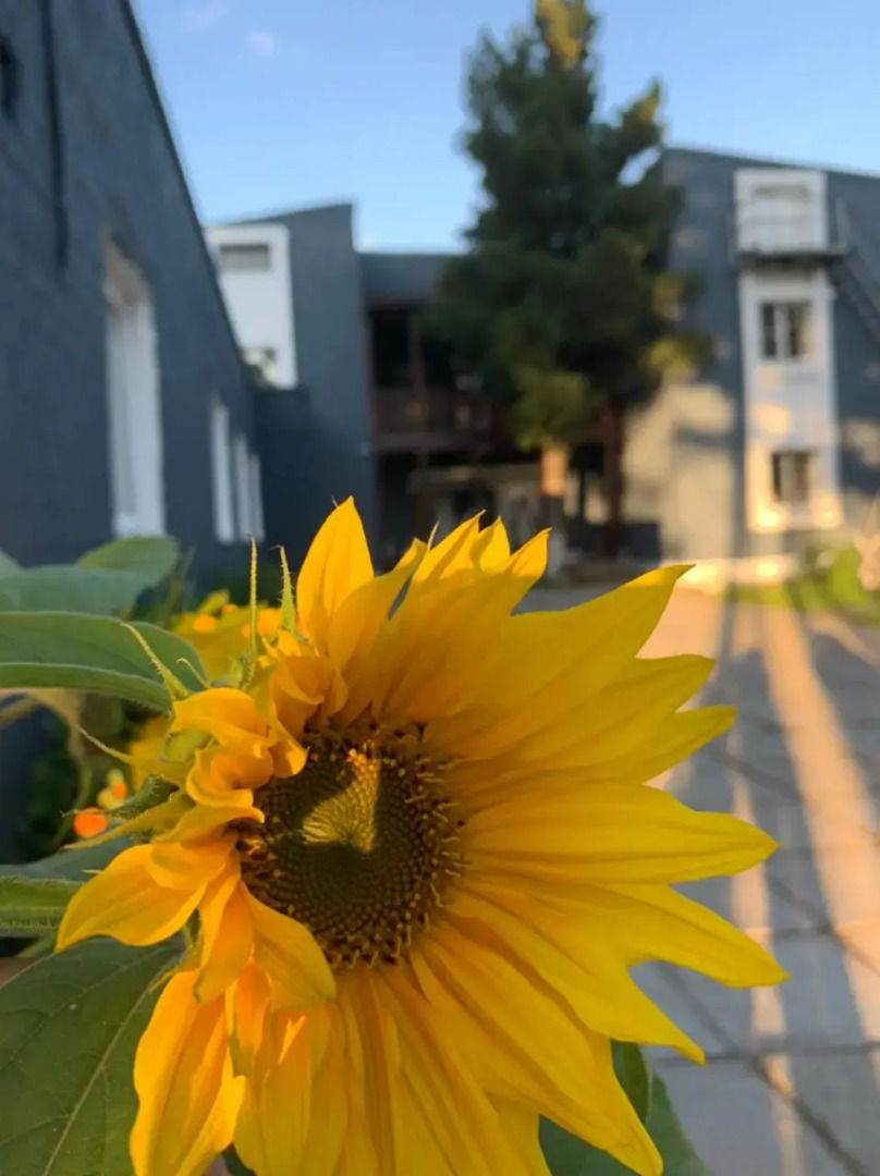 Мини-отель Подснежник