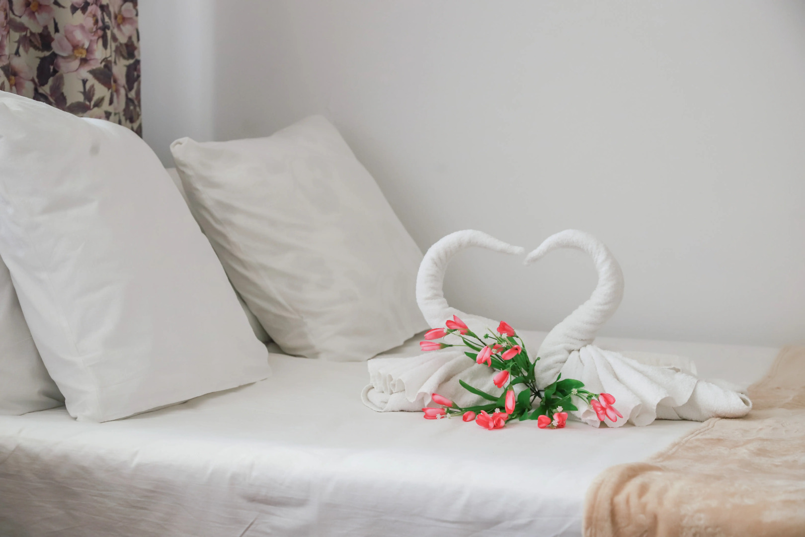 MAXROOMS у Плеса