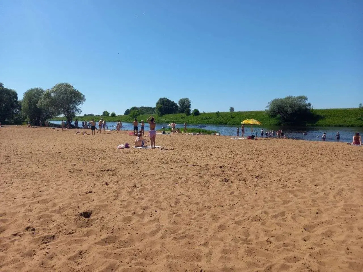 Квартира в сосновом лесу ЖК Гринпарк Солотча