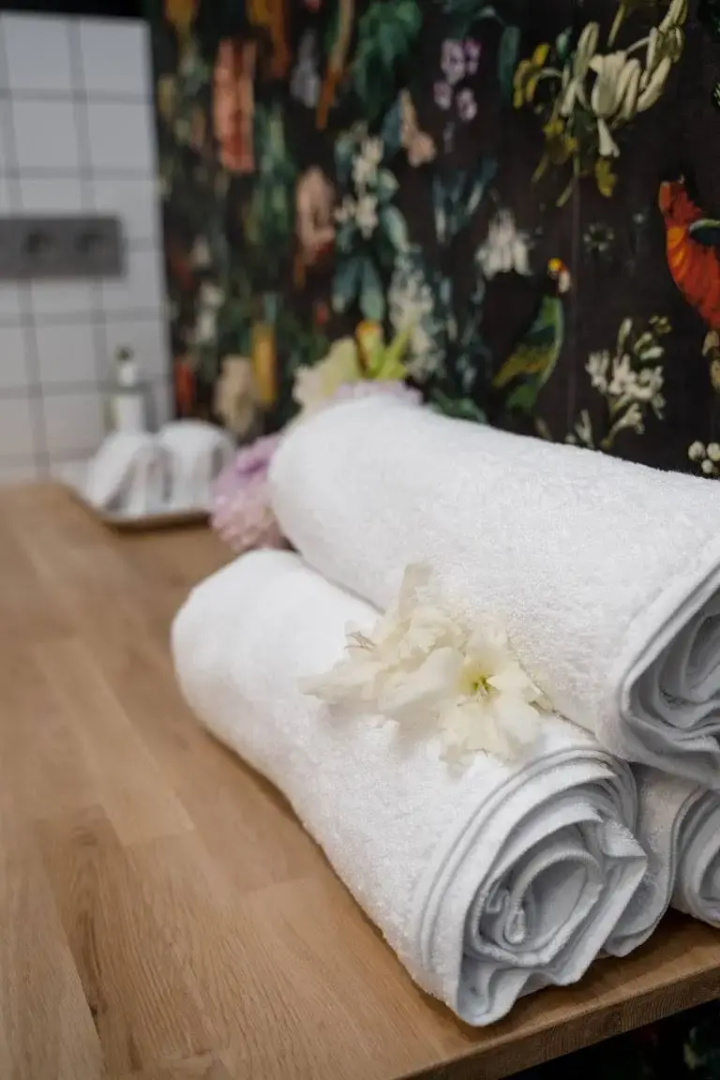 Апартаменты Уютные Апартаменты Botanica г Орск