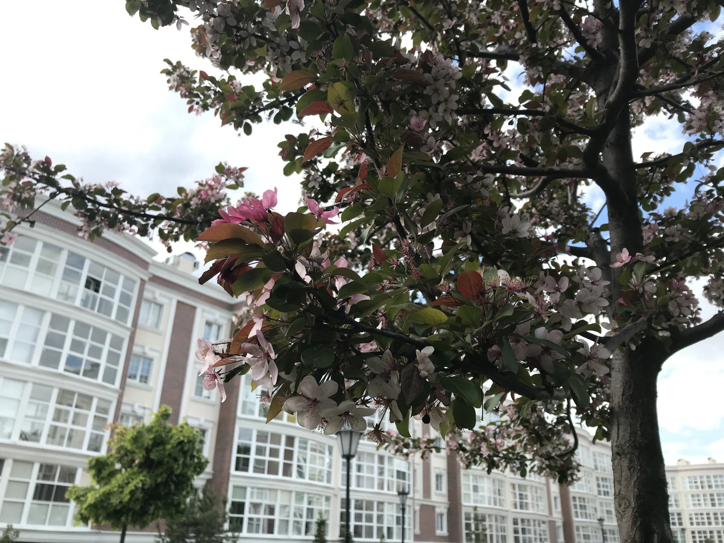 Квартира Прилесье на Спортивной