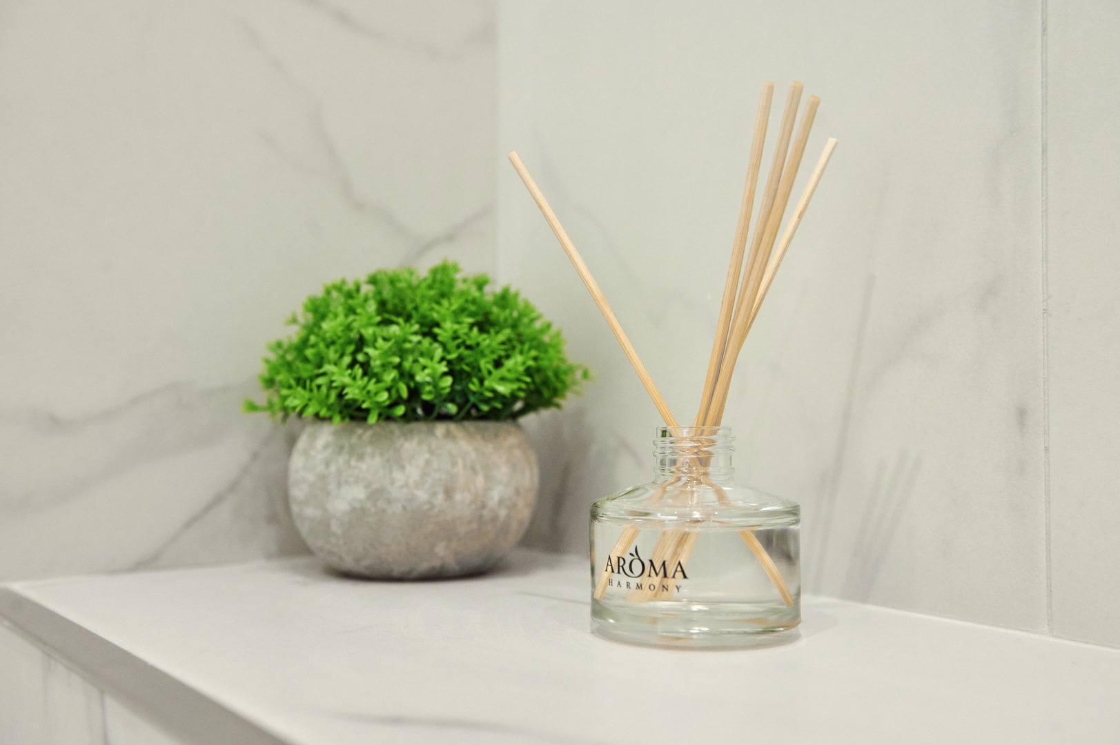 Апартаменты В Сердце Светлогорска 2