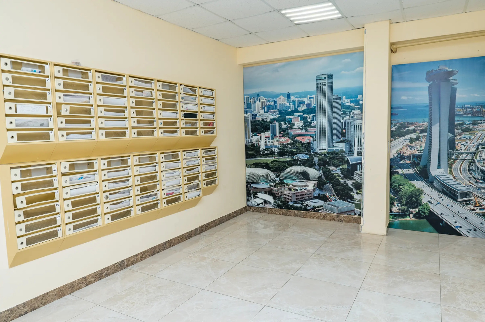 Апартаменты Студия у моря на Просвещения Летние ночи