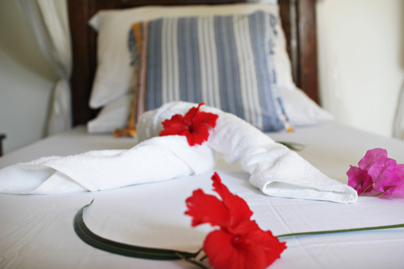 Отель Aya Beach Bungalows