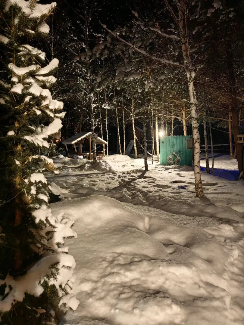 Гостевой дом Сельская усадьба