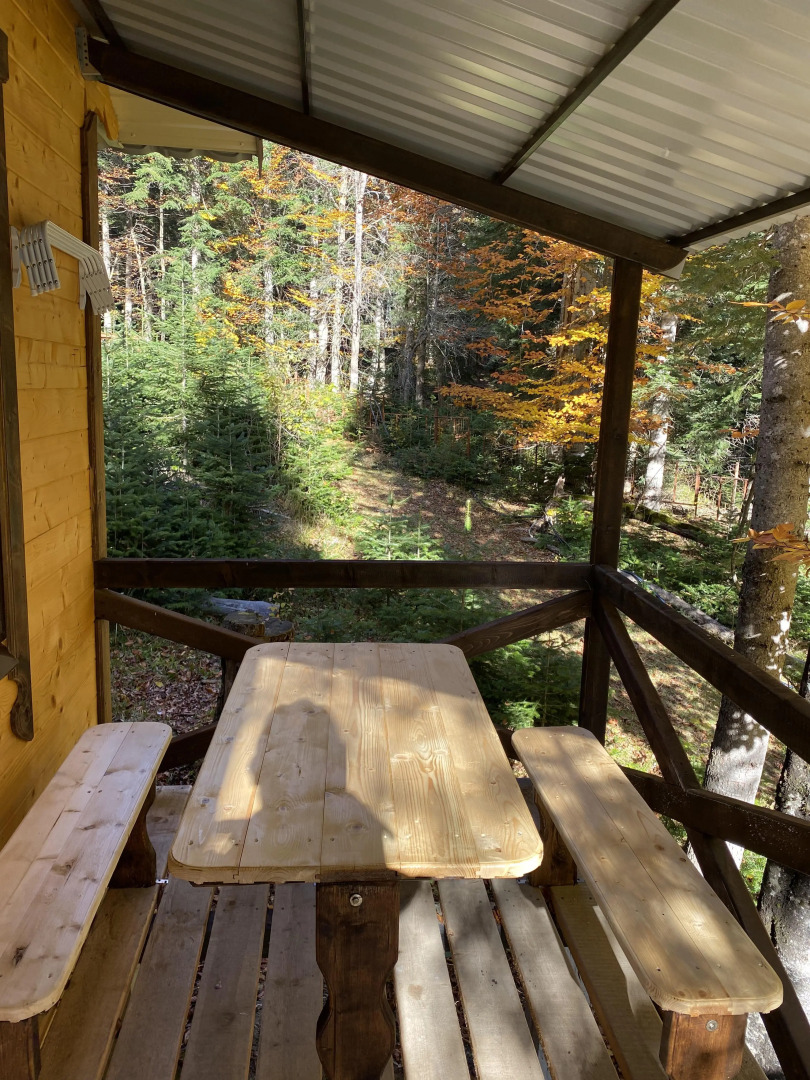 База отдыха Поляна Зубров