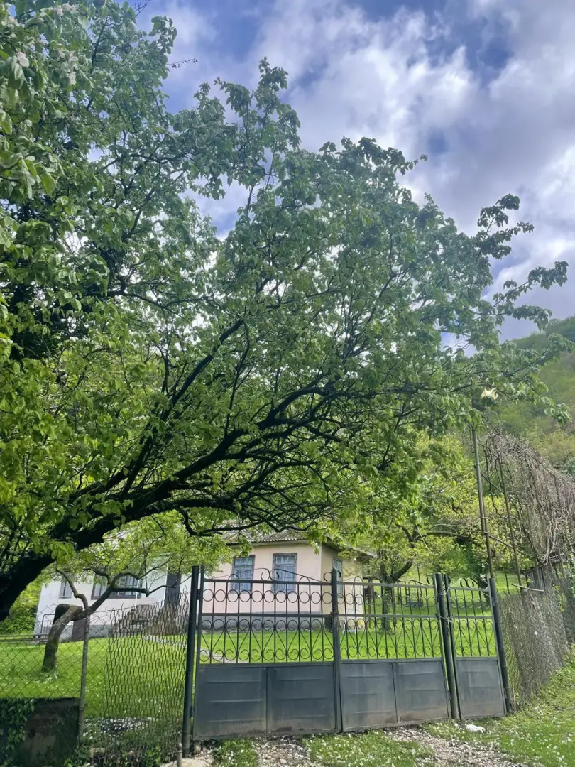 Частный Дом Среди Гор