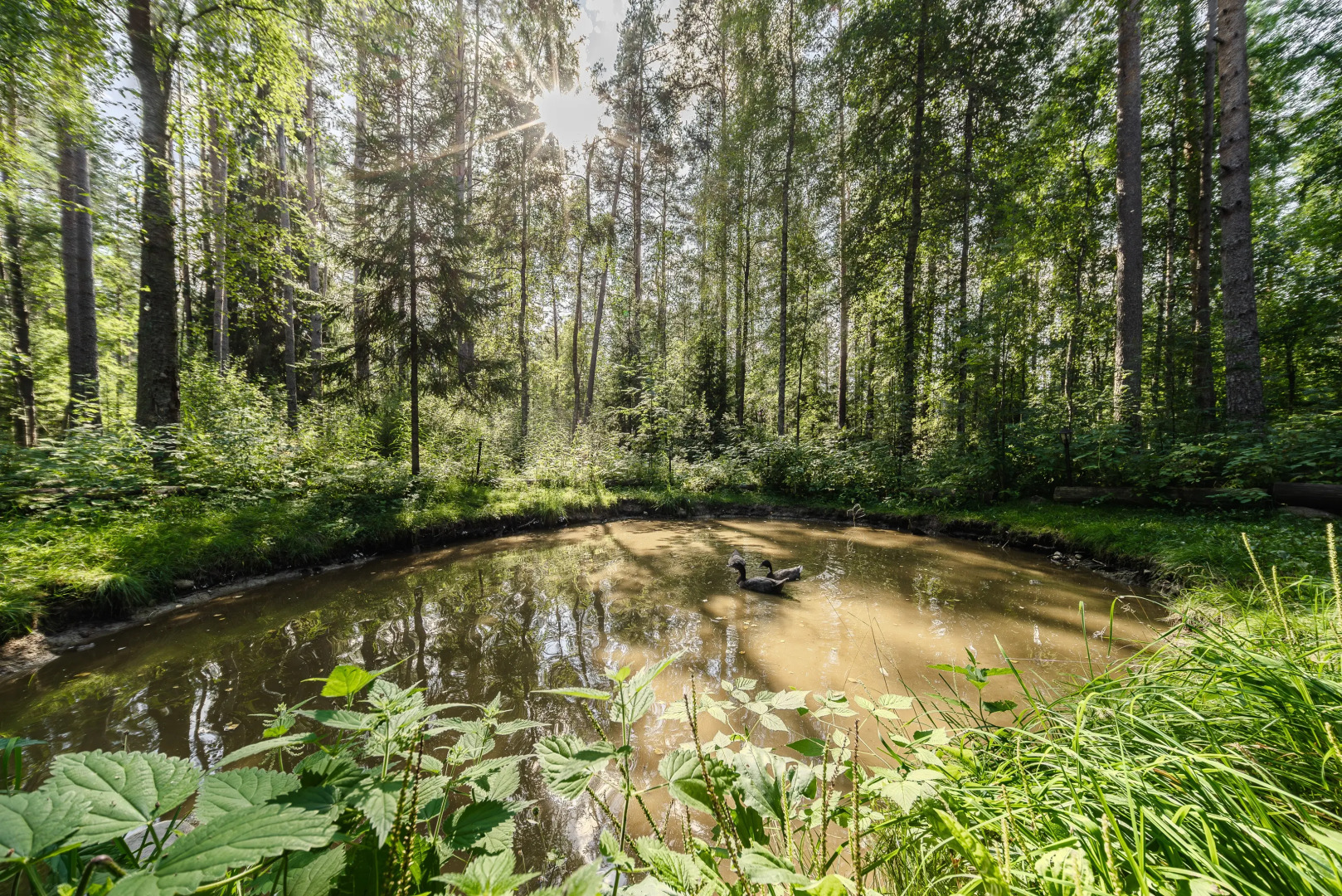 Частный дом Коттедж Коробок Хуторок Дом 5