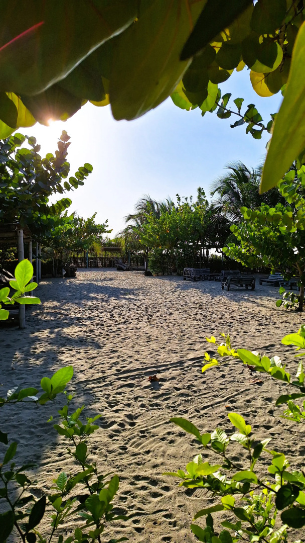 Ночлег и завтрак (B&B) Chevere Beach Hotel Frente Al Mar