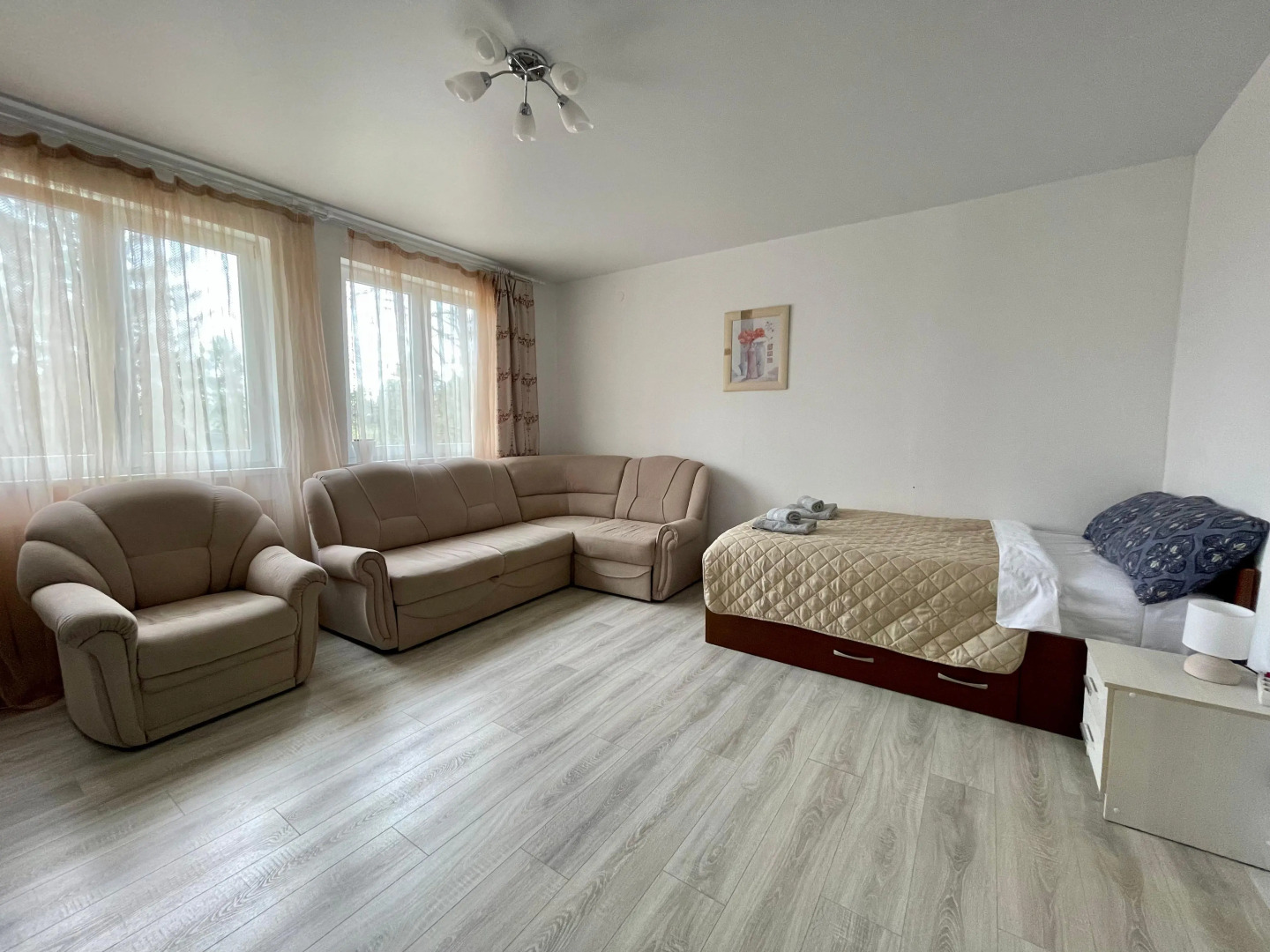 Апартаменты Лес и Шишки