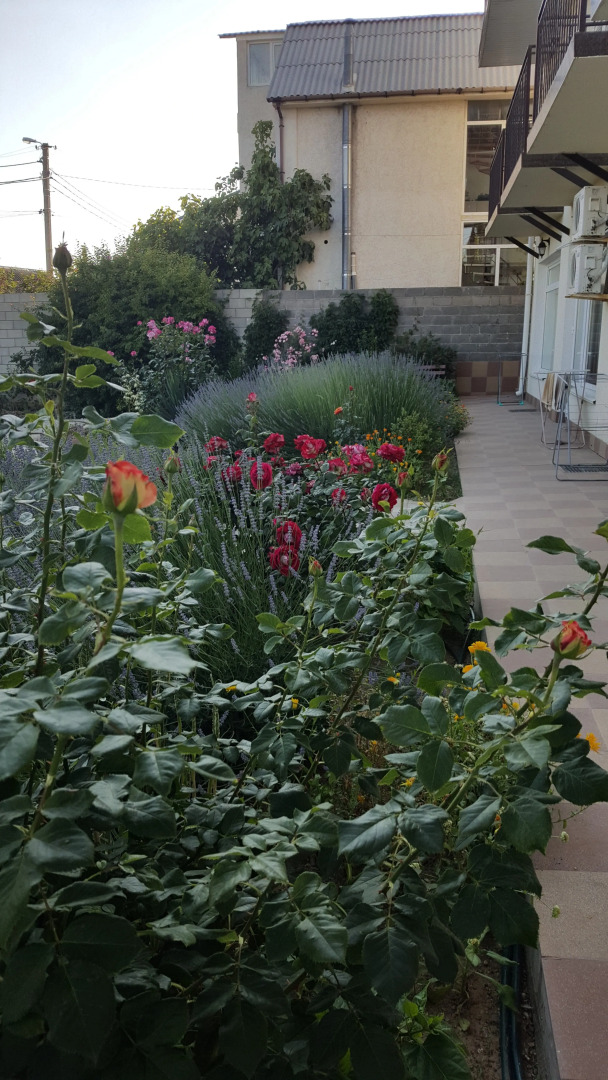 Гостевой Дом Роза Ветров