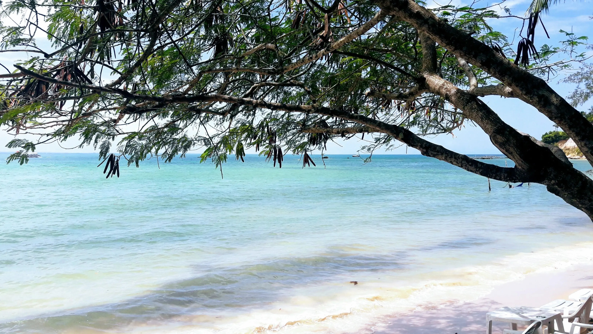 Отель Village do Dendê Garden Guesthouse and Bungalows