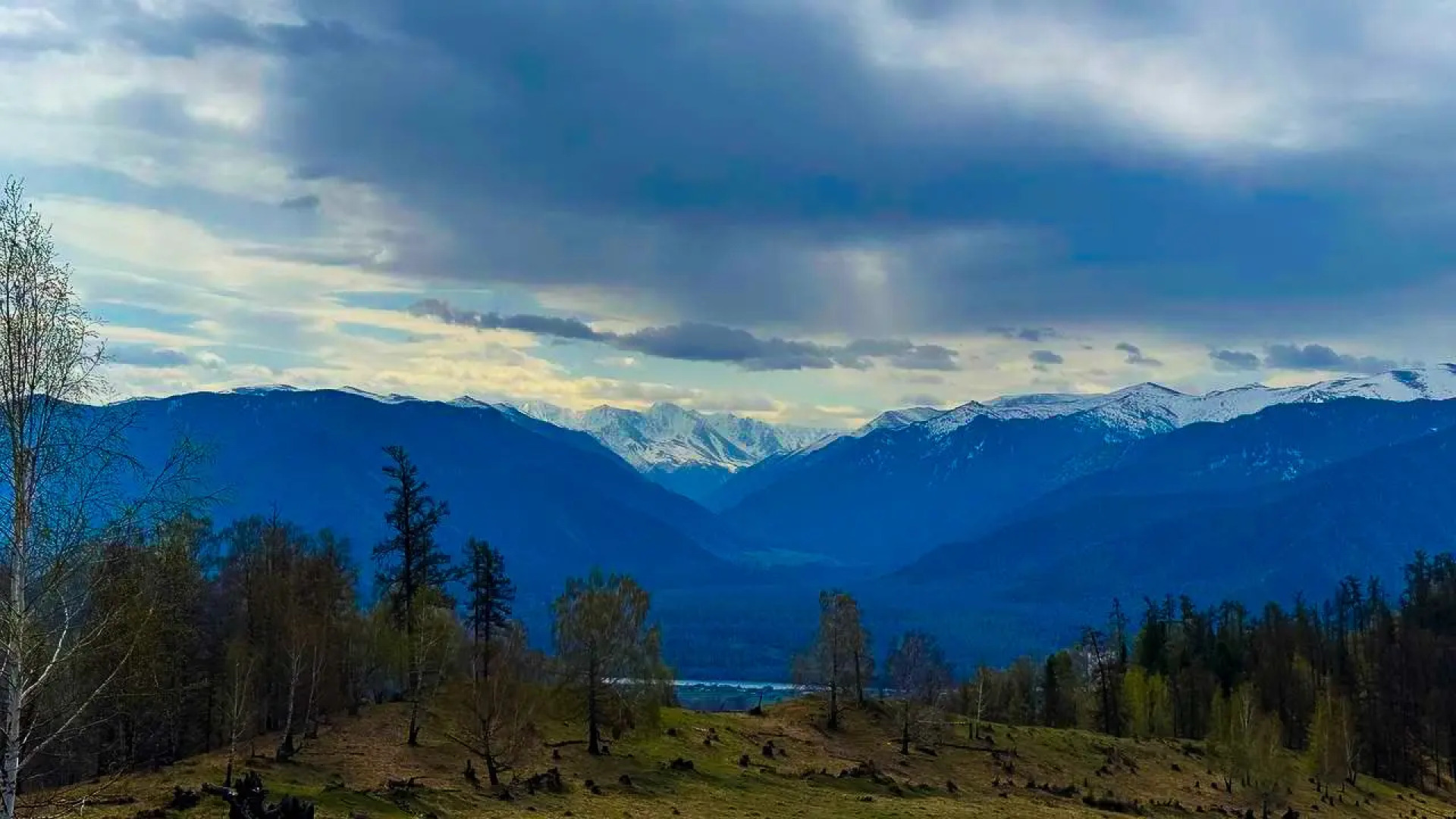 Гостевой дом Belukha Village