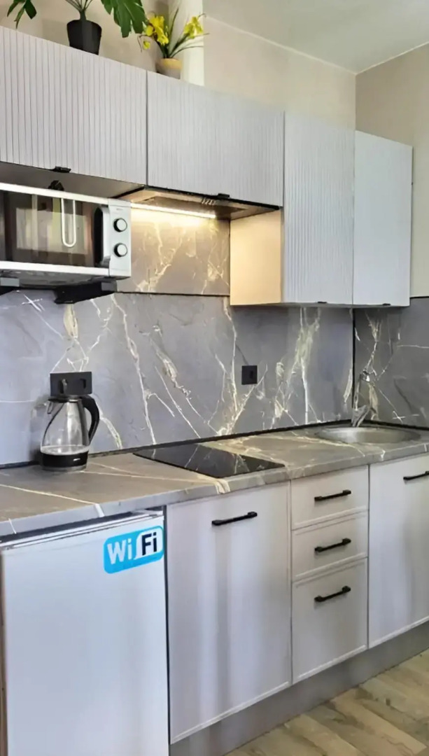 Апартаменты Мильфей 19-2