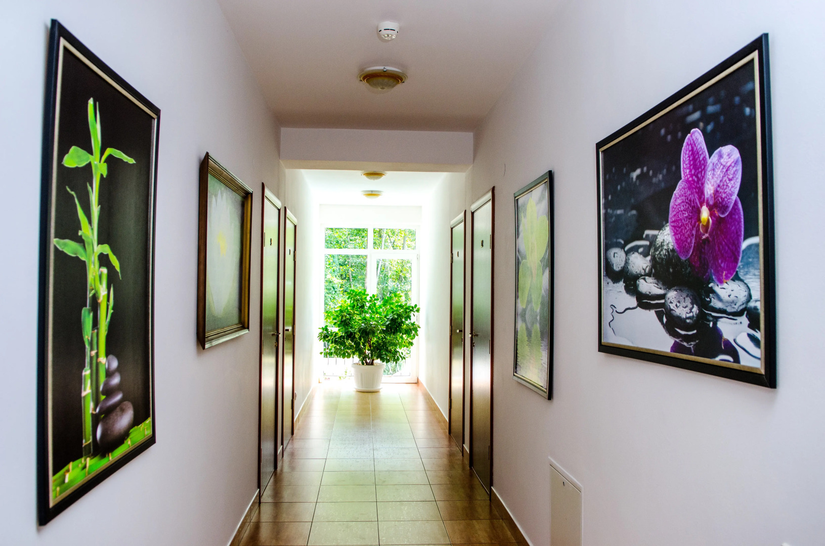 Отель Marina Inn