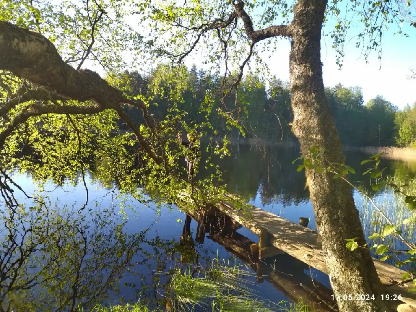 Частный дом Среди озер