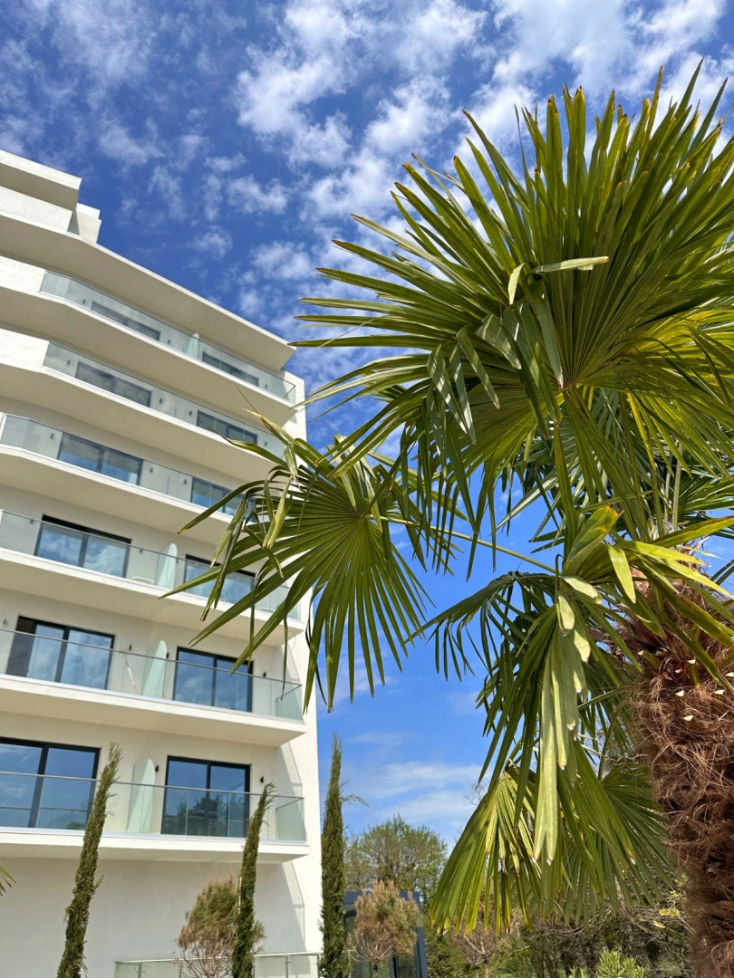 Отель Райморис