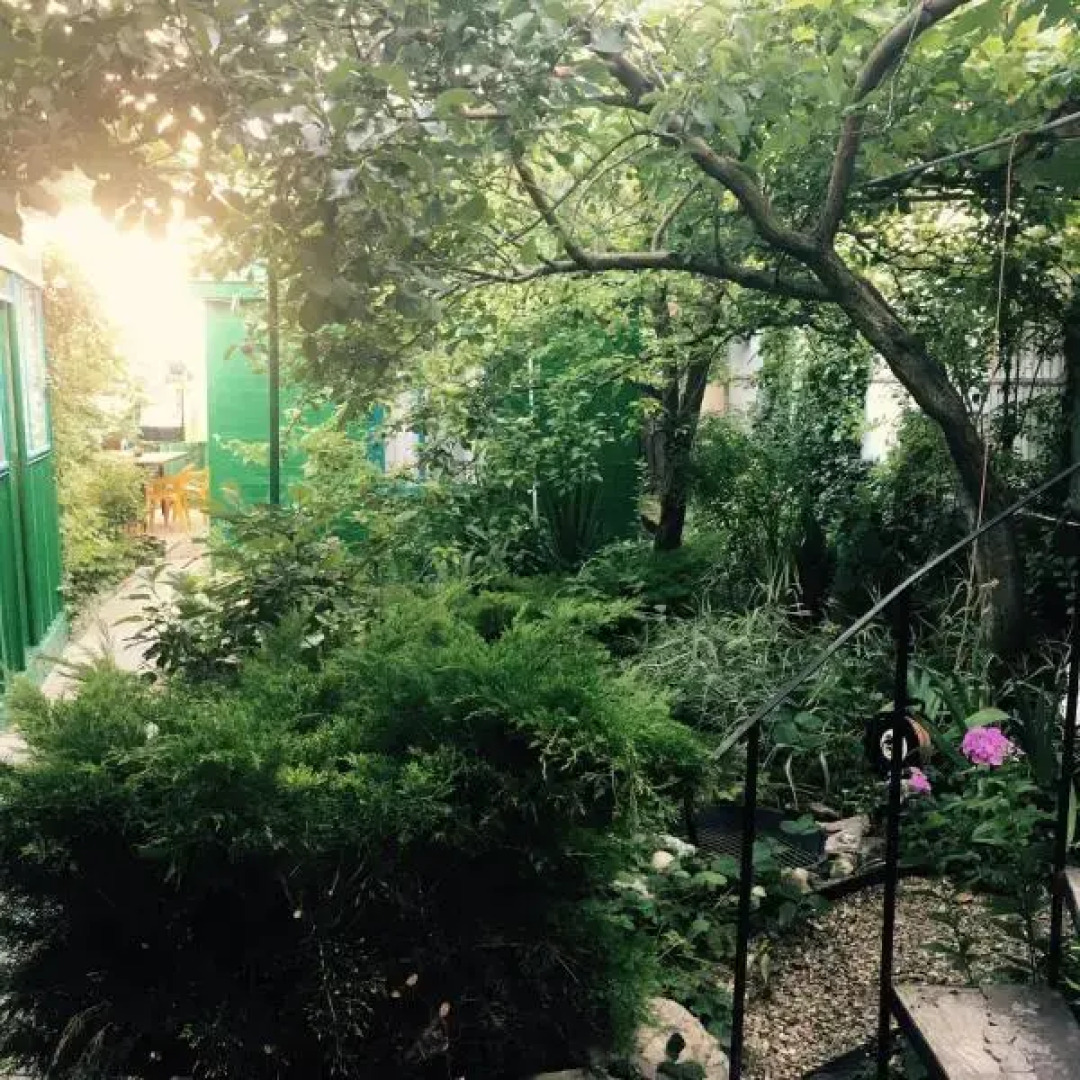 Гостевой дом Тенистый дворик