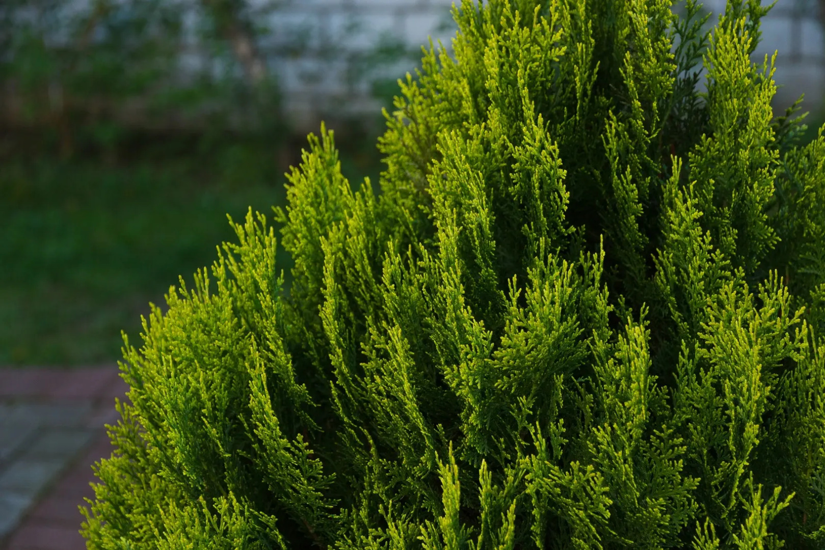 Меблированные комнаты Вилла Северин