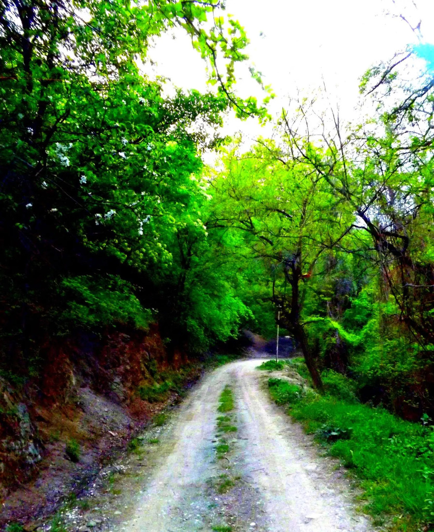 Гостевой Дом Вишневый сад