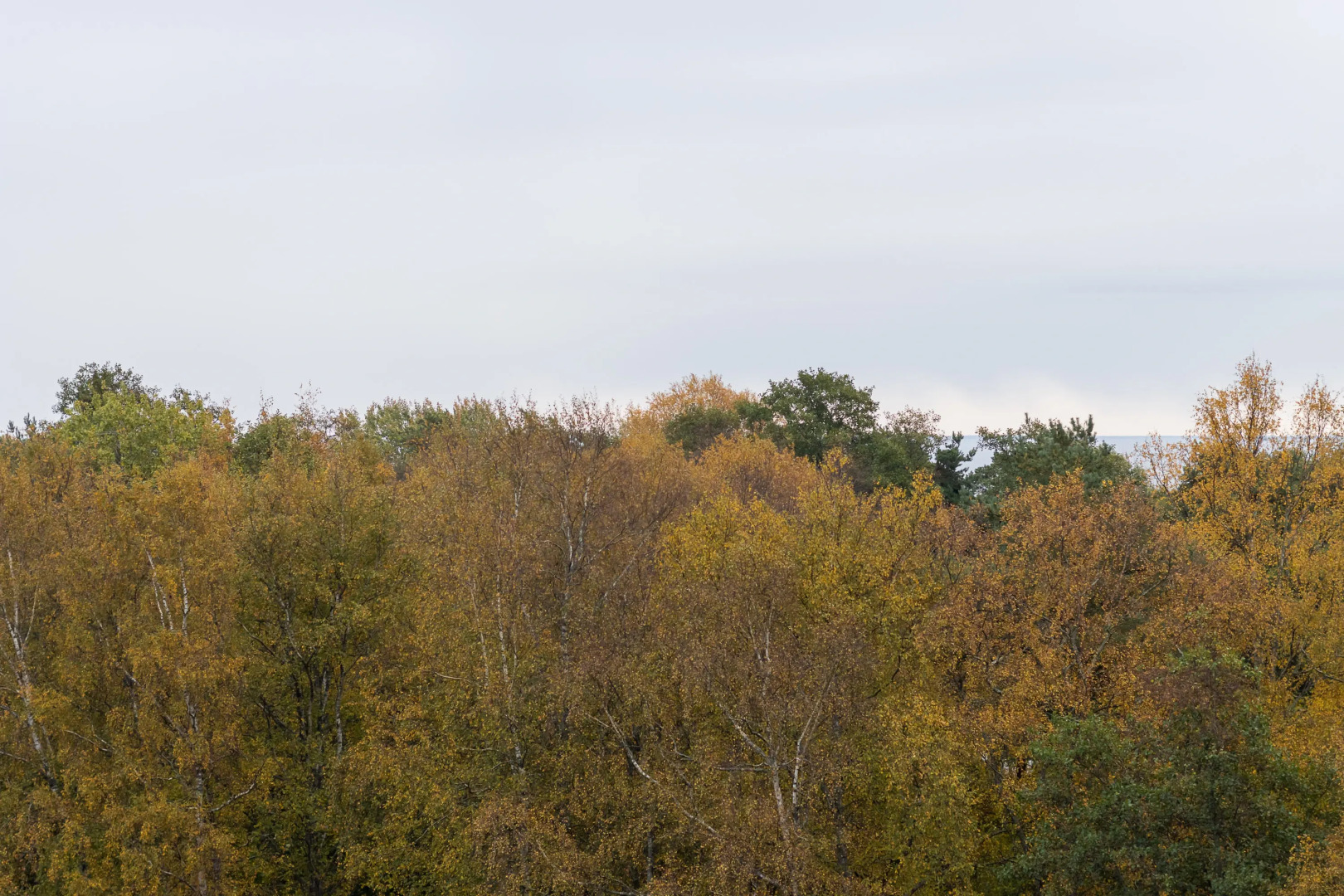 Апартаменты Студия 721