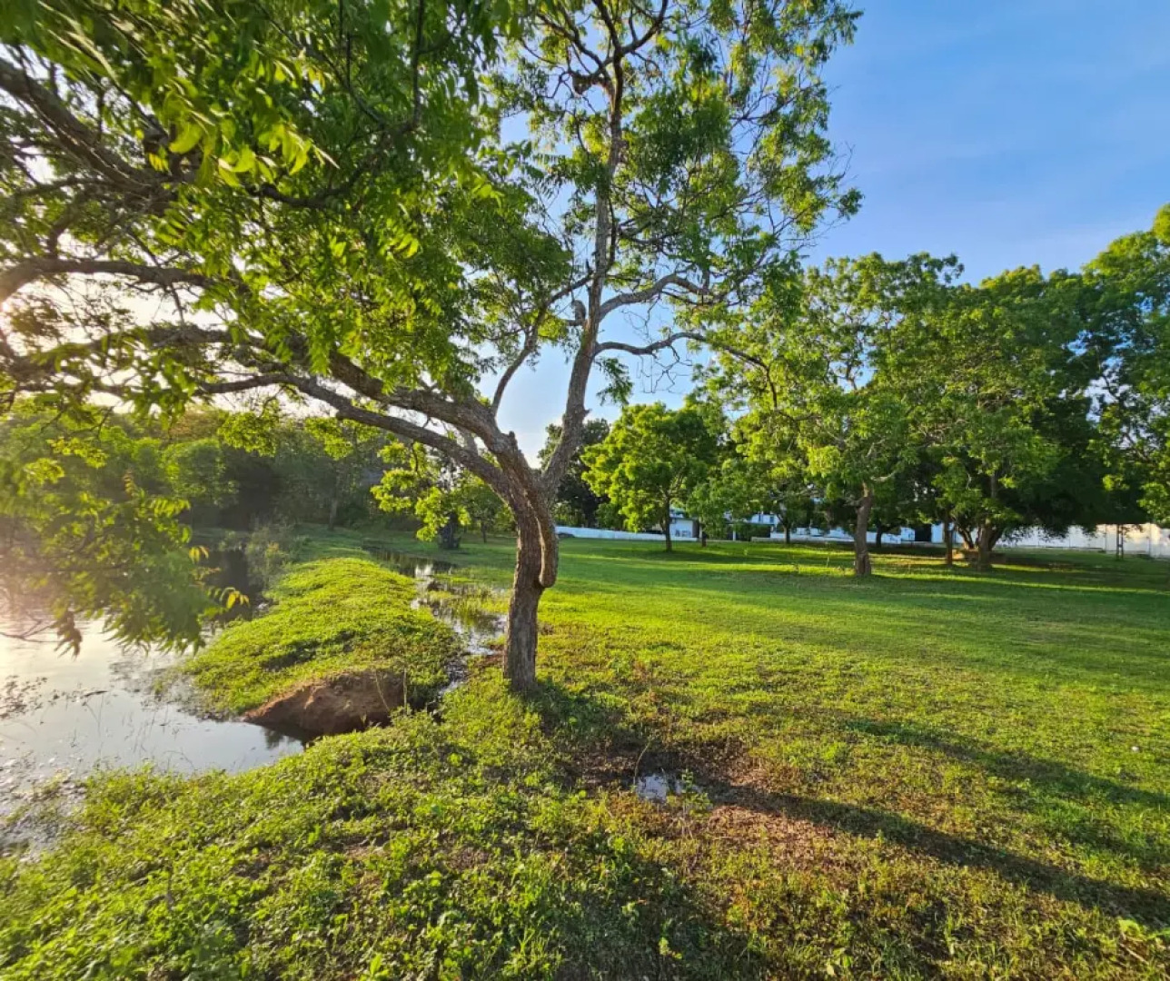 Вилла Bungalow Grand Villa Kalametiya