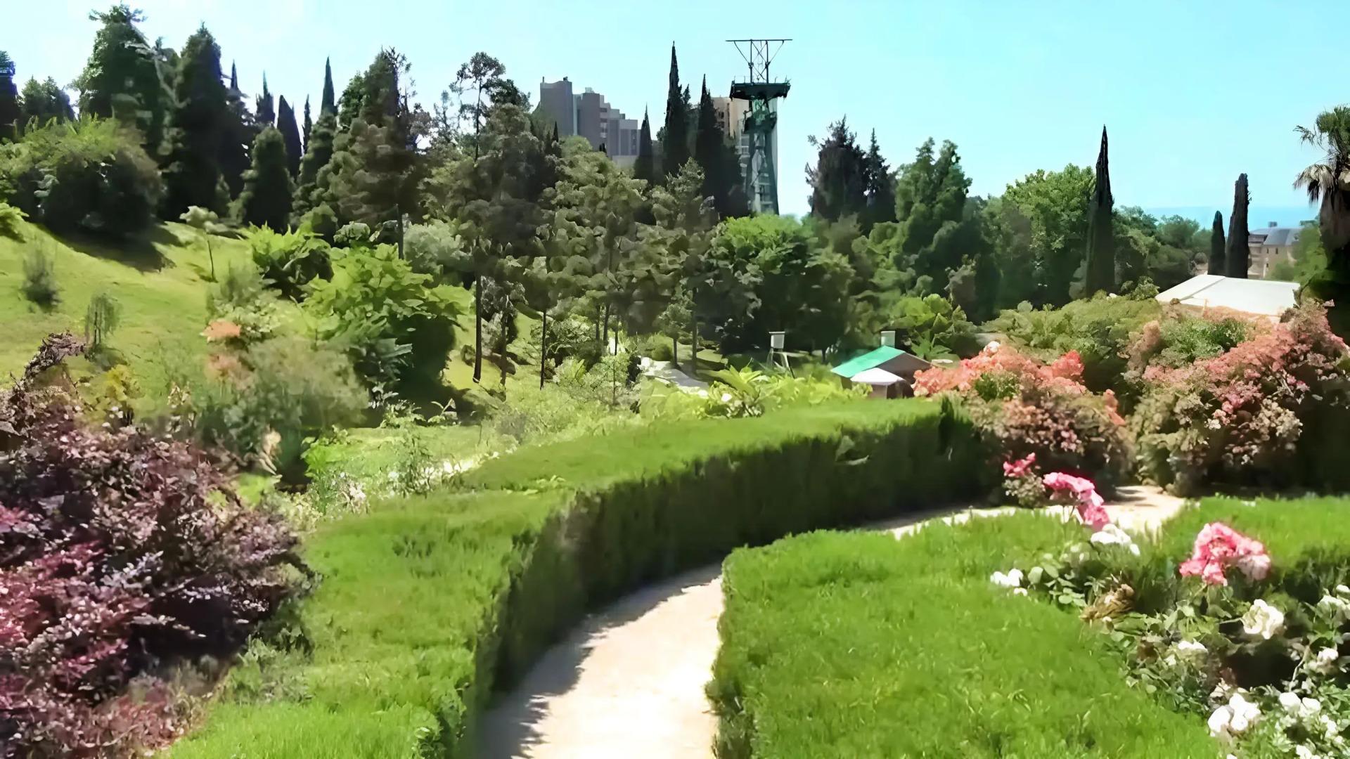 Квартира Рядом с морем в центре Сочи