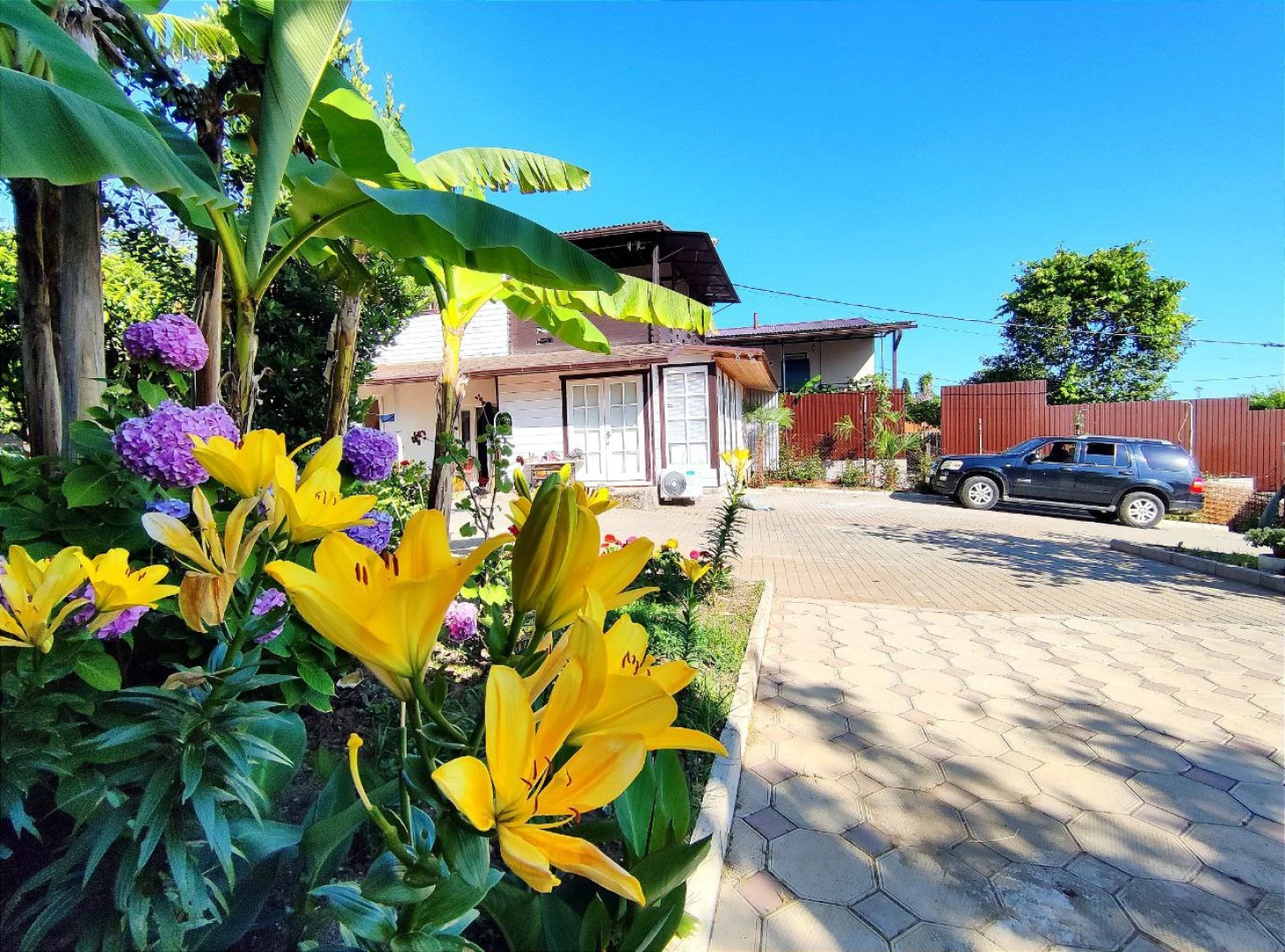 Гостевой дом Цитрус