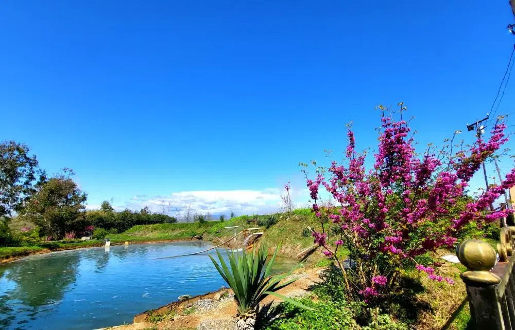 Гостевой дом Grand Way