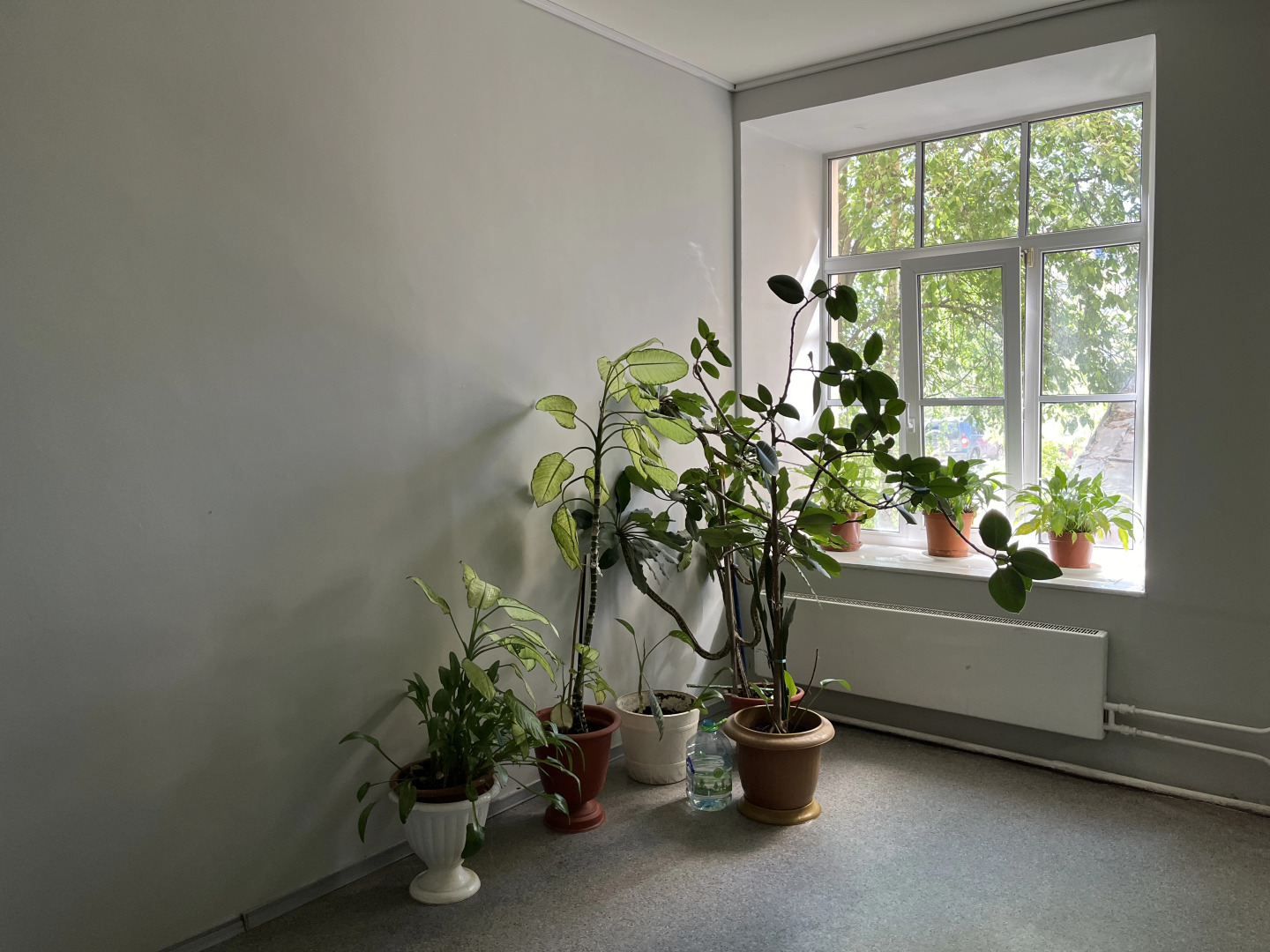 Отель Пушкин