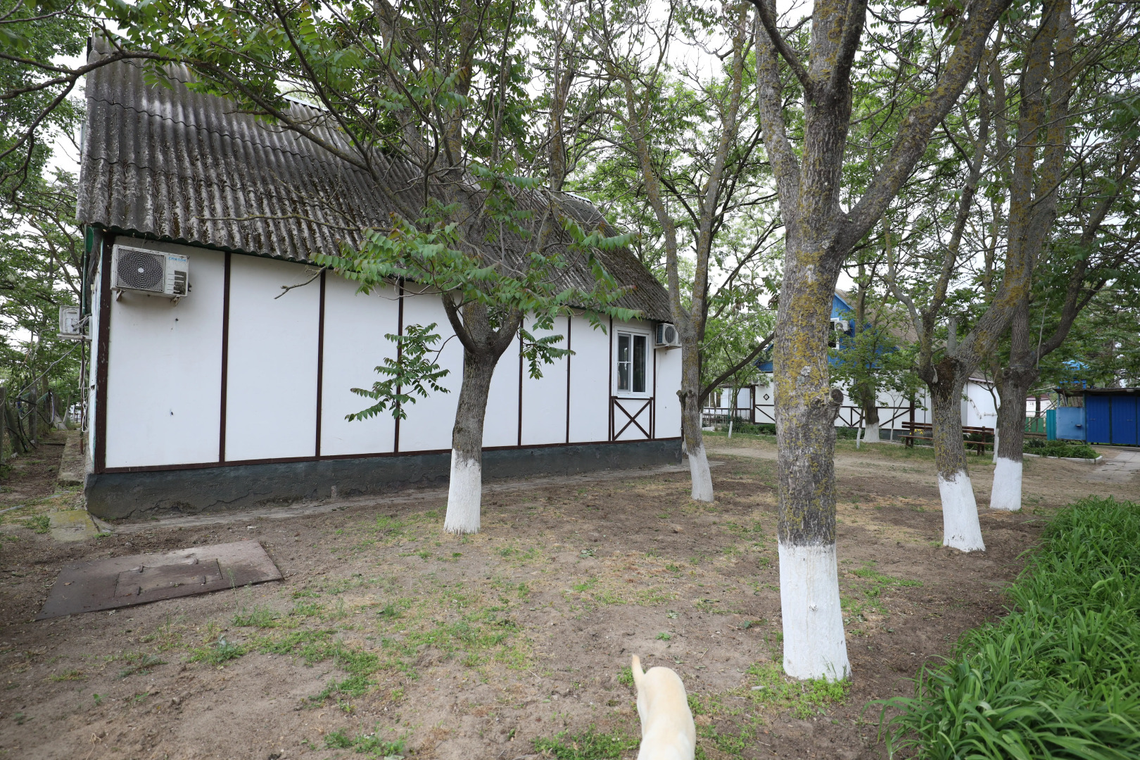 База отдыха Оазис