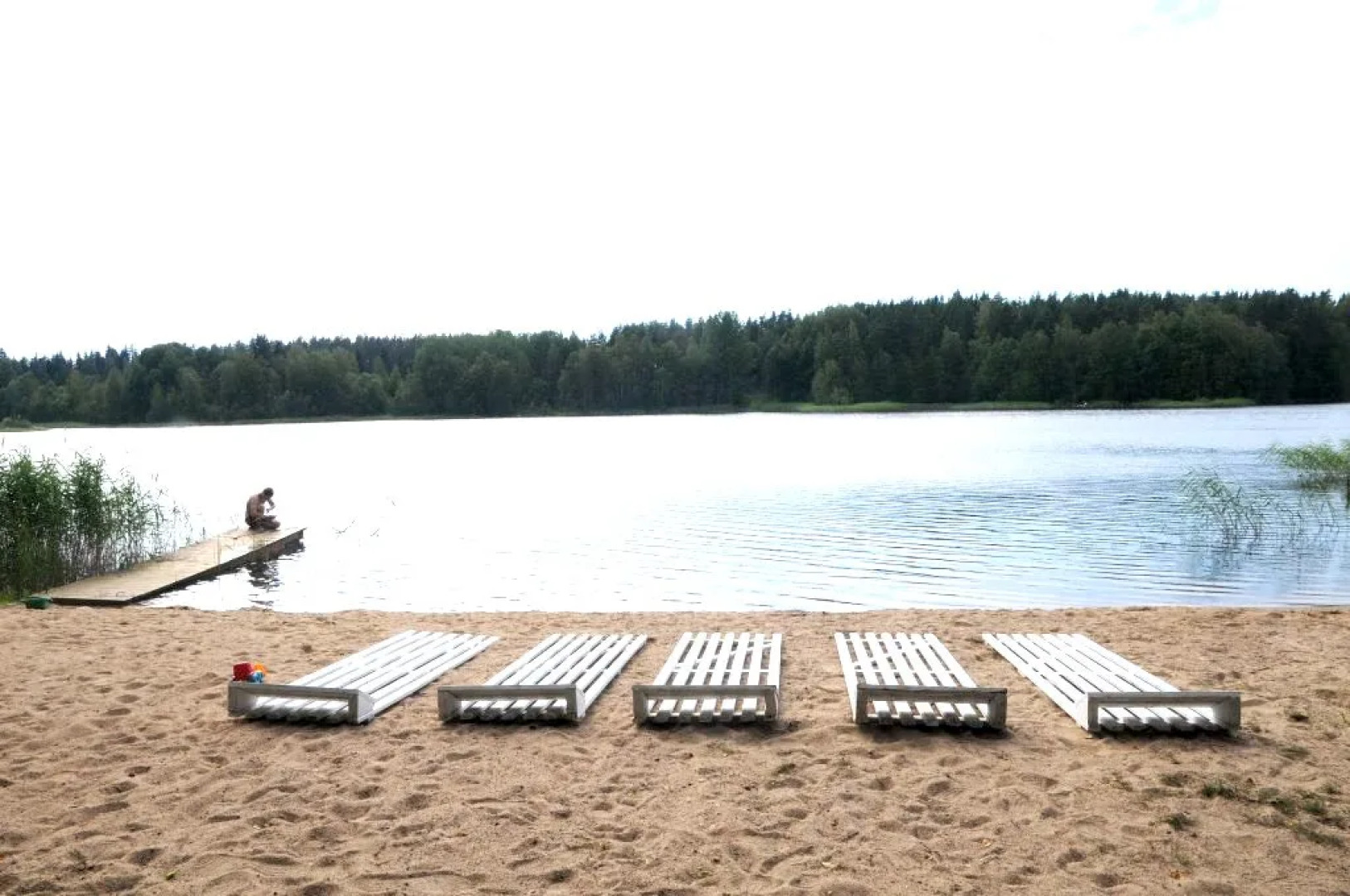 База Отдыха Ромашка Клуб