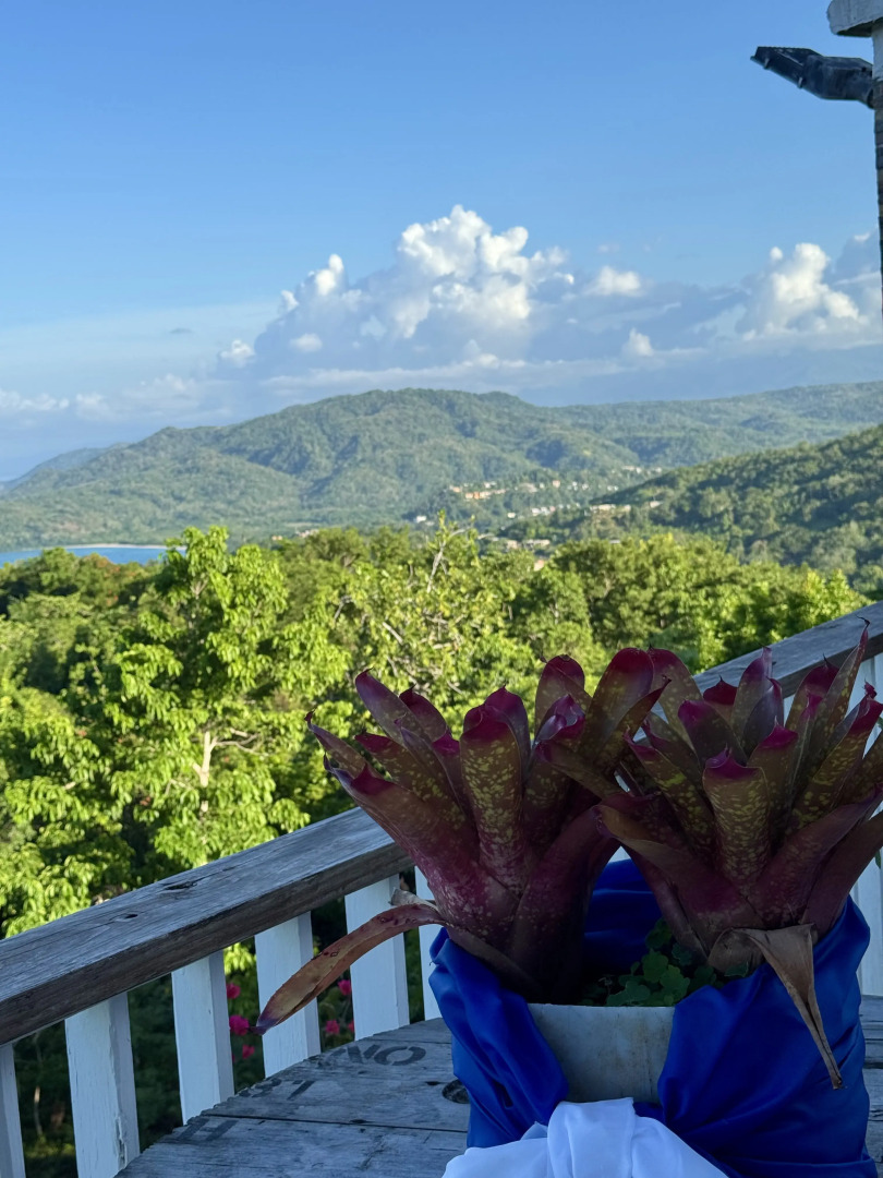 Вилла Breezy Castle с 3 Улучшенными Номерами с Видом на Море и Частным Бассейном