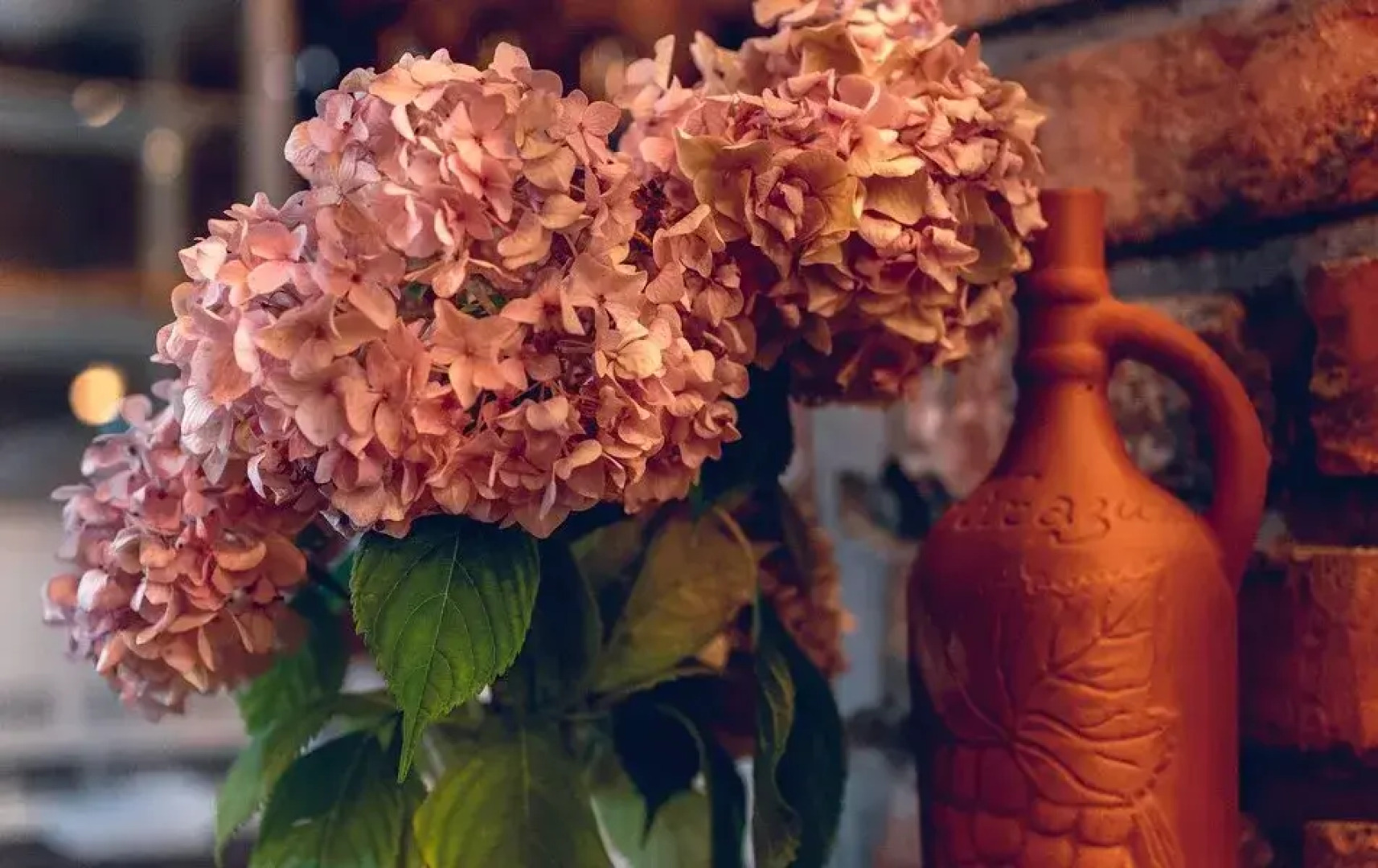 Отель Глория