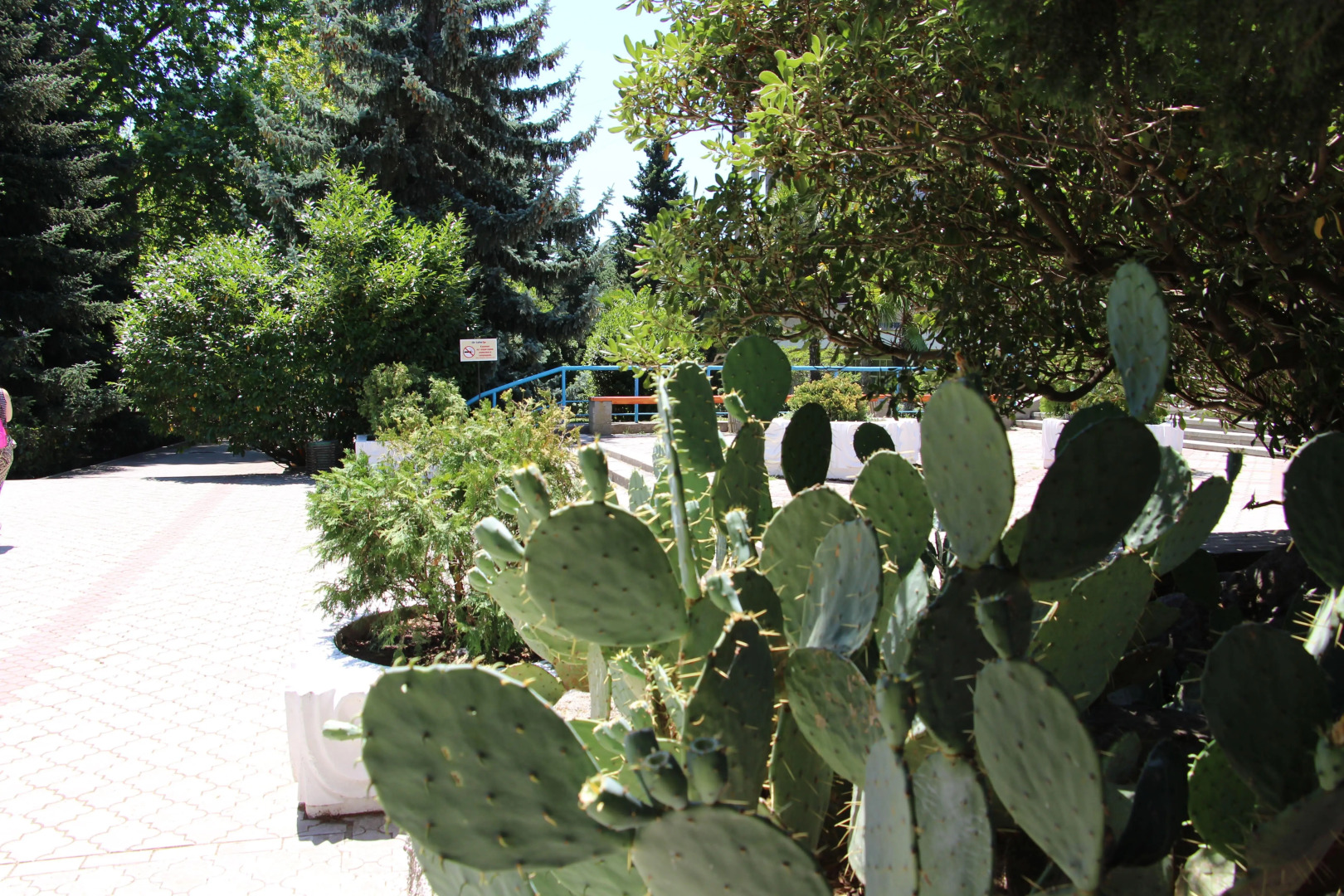 Отель Чайка ТОК