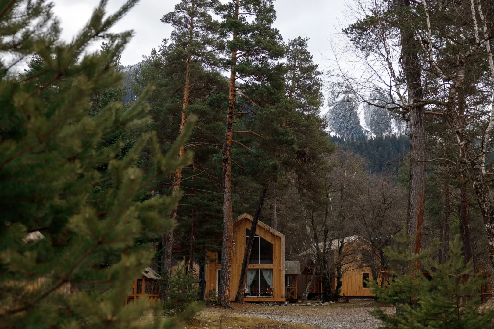 Гостевые дома Шишка