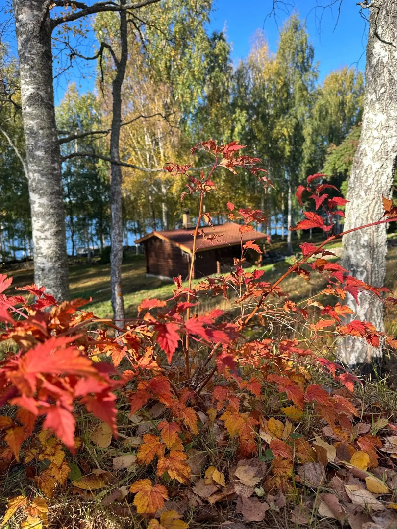 Гостевой дом Karjala Apartments