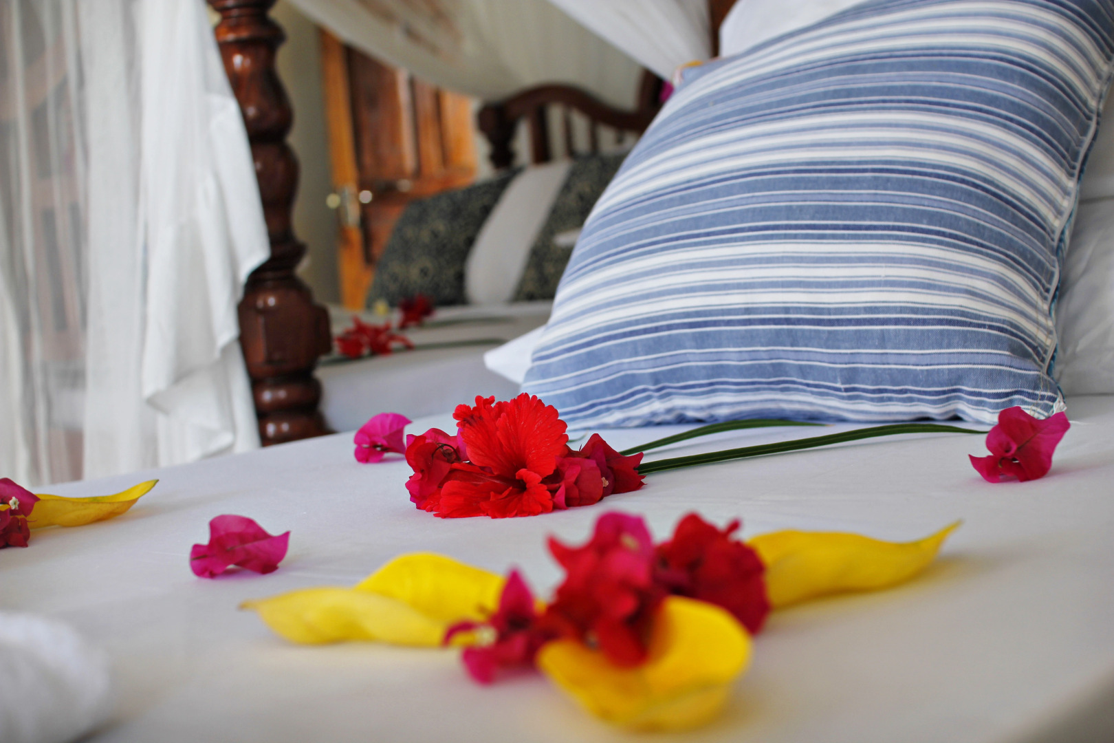 Отель Aya Beach Bungalows