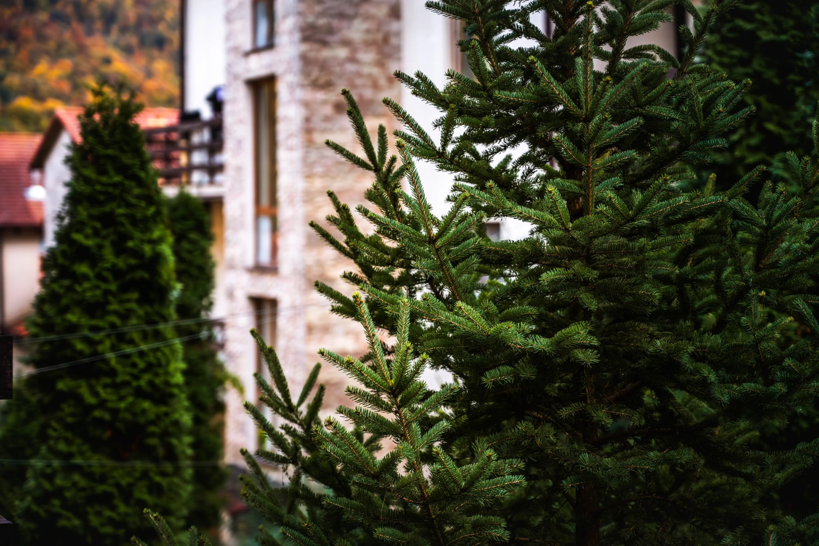 Апартаменты Оплот Горы