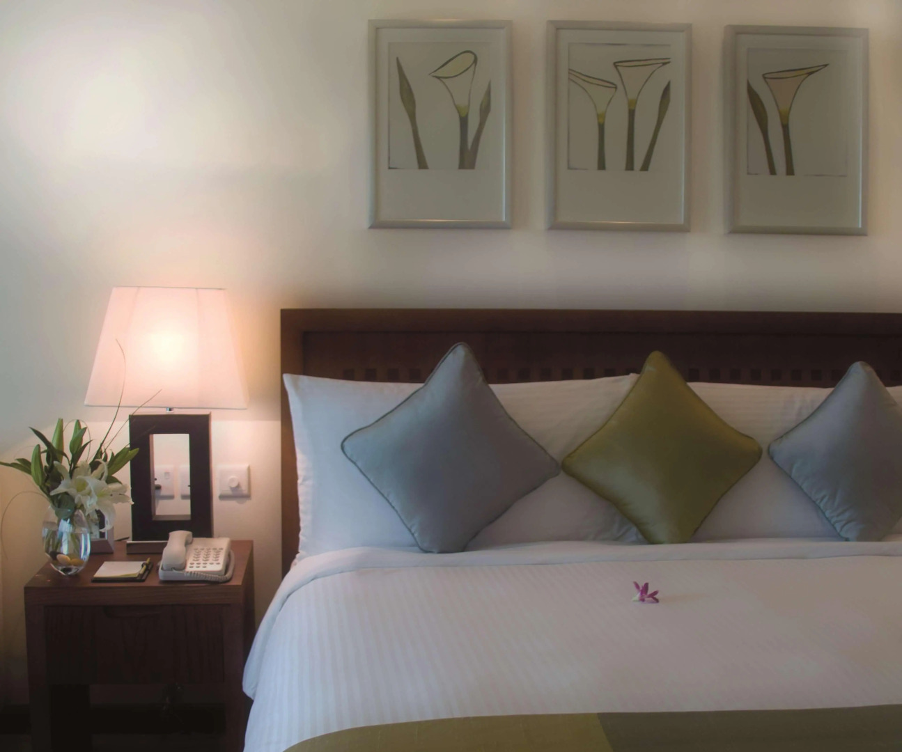 Отель Radisson Blu Resort Fujairah