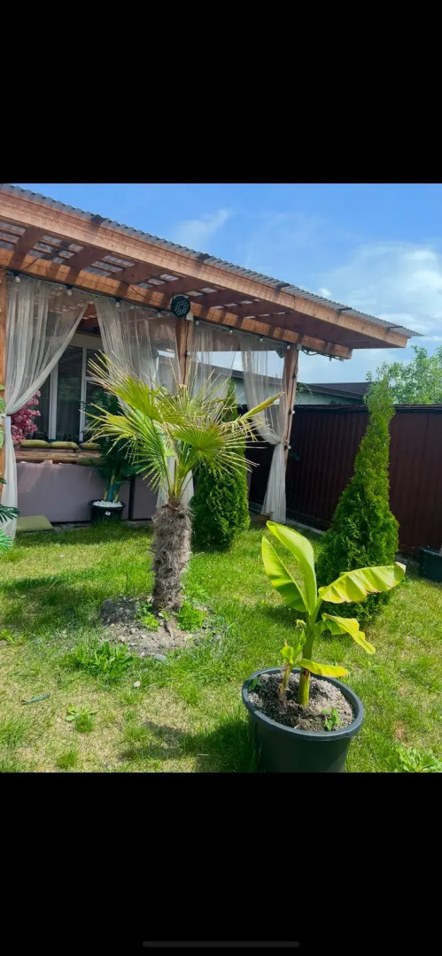 Гостевой дом Olenev_spa