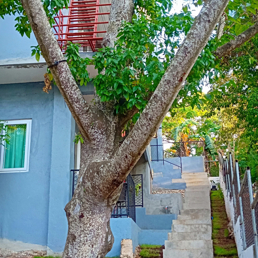 Апарт-отель Dinihills