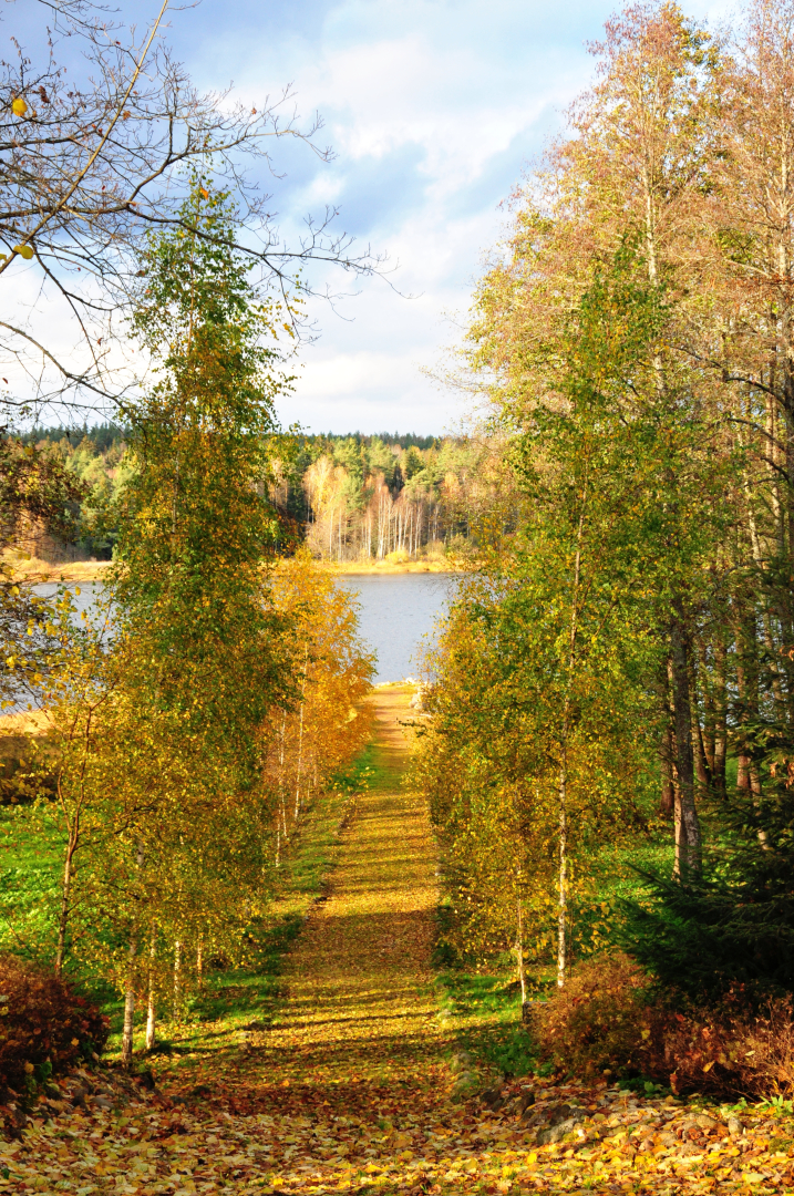 Гостевой дом Усадьба Мерево