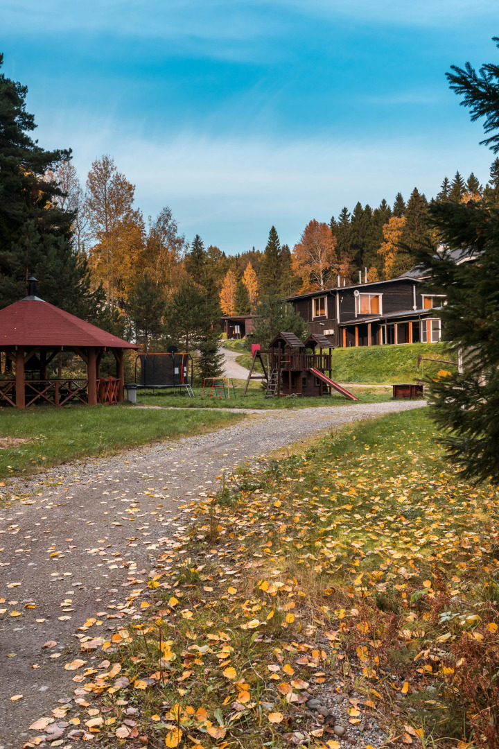 Времена Года