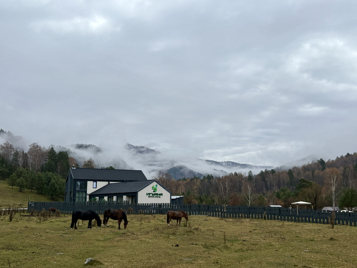 Бутик-отель Игуана