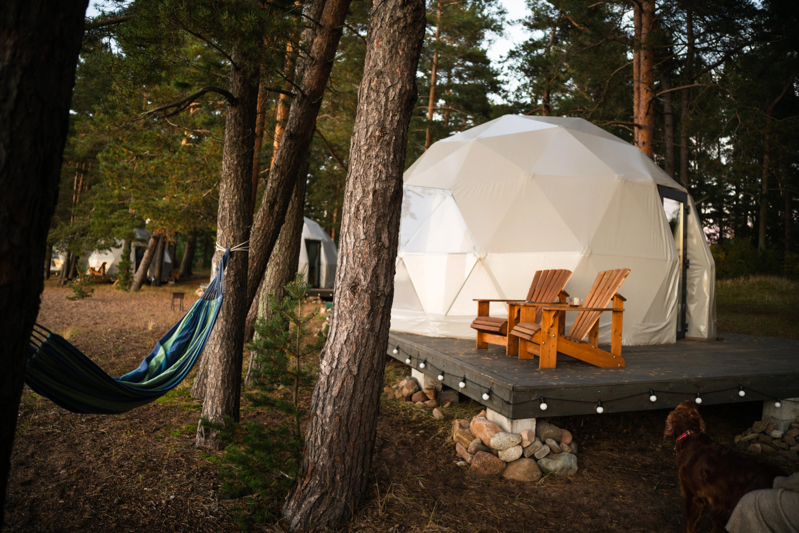 Глэмпинг Веззика