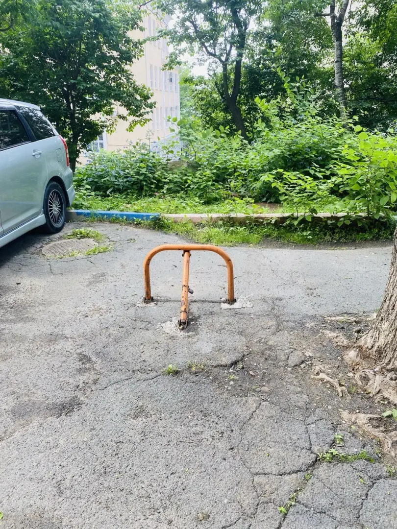 Квартира рядом с парком в центре города